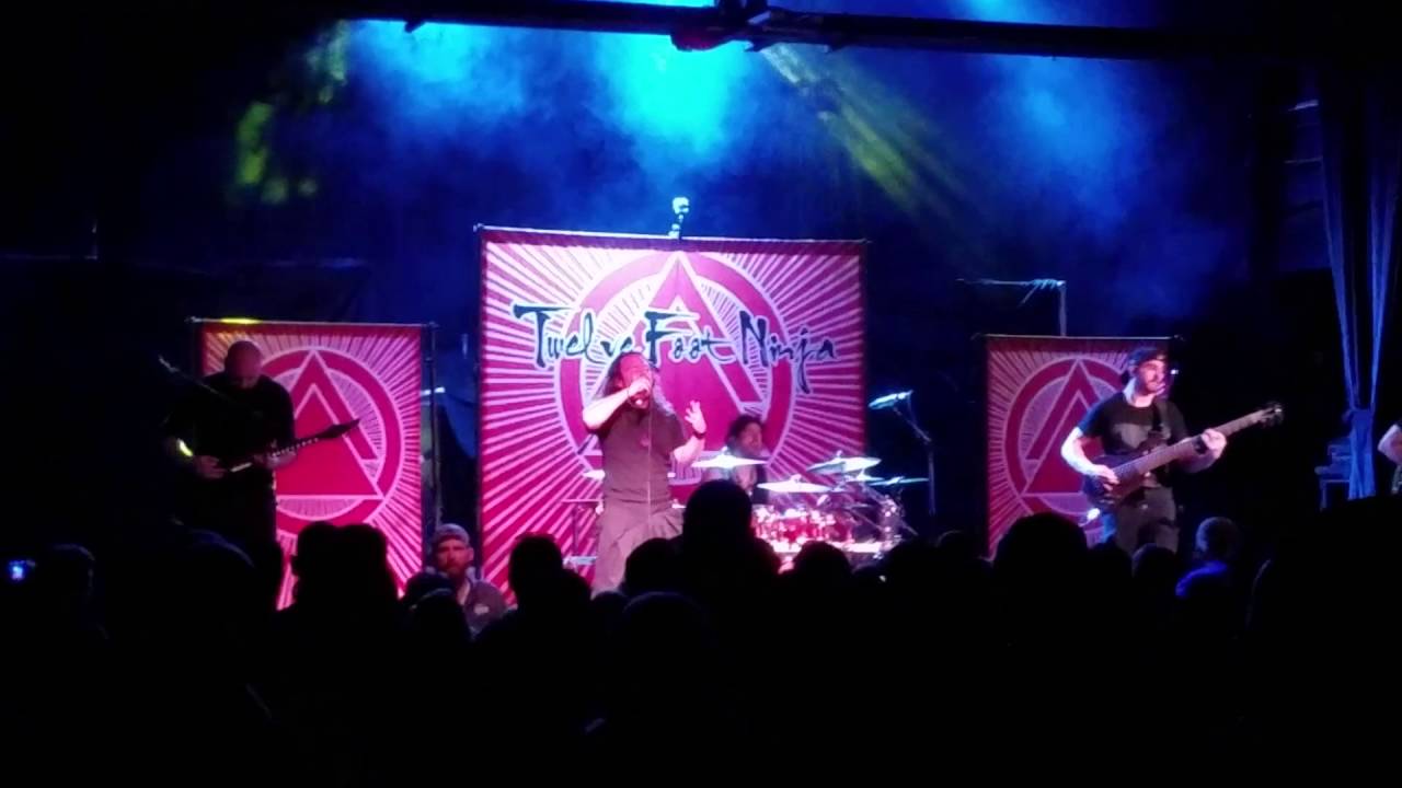 twelve foot ninja - one hand killing knoxville, tn