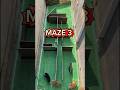 Brown Dog Wins the Ultimate Maze Race 🐶🏆 #DogMaze #SmartDog #AnimalLovers