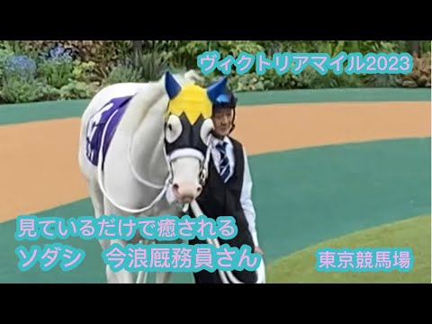 ソダシ　今浪厩務員さん　見ているだけで癒されまくり　ヴィクトリアマイル2023 パドック　東京競馬場