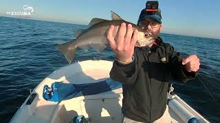 Otra jornada a Slow Jigging