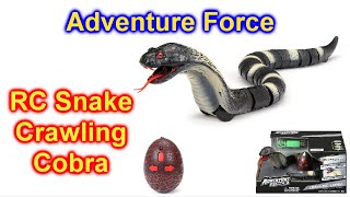 RC Snake Unboxing & Testing - Chatpat toy tv 