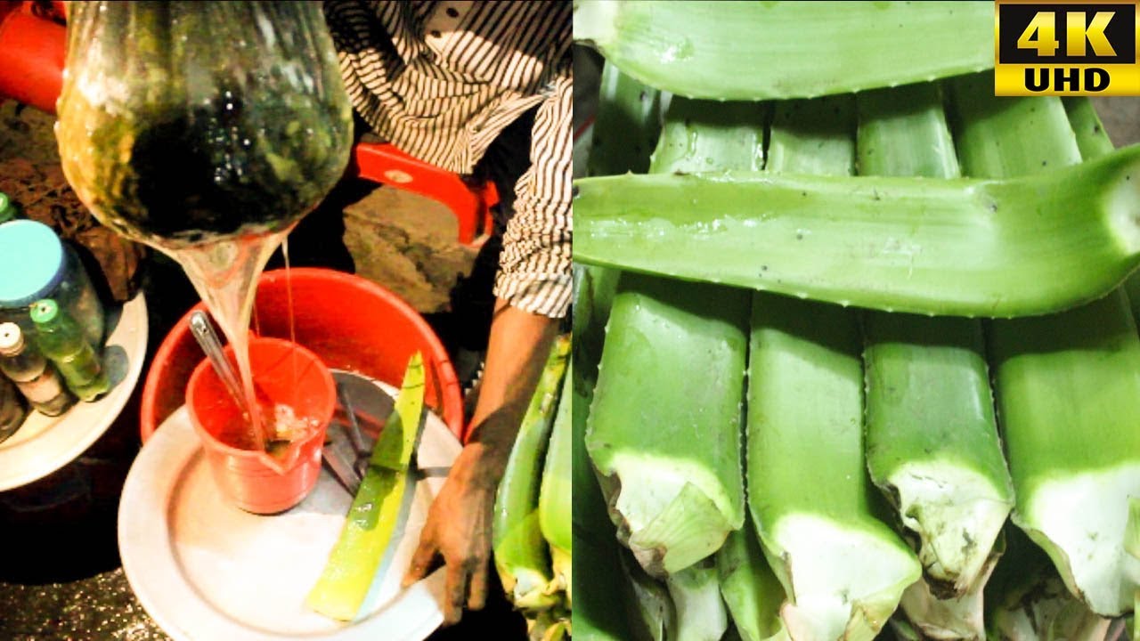 Unique & Healthy street food Aloe vera Juice Bengali Aloe vera shorbot