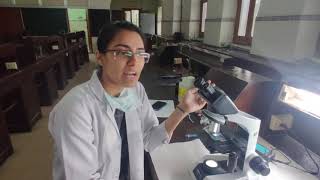 Platelet count direct method (focussing under microscope)