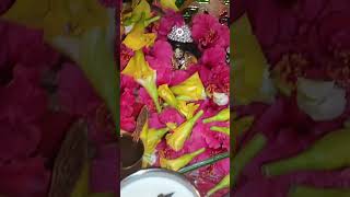 radhe radhe Krishna 🙏🙏🌹🌹 happy ekadashi###Neha Jha ♥️ like and subscribe ♥️ viral short ##♥️🌹