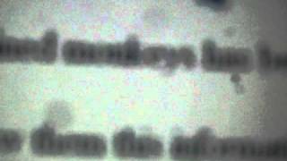 Youtube Glitcherror Wtf