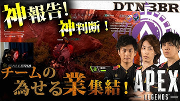 [DTN3BR] 神報告!神判断！チームの為せる業集結！StylishNoob SPYGEA [APEX]