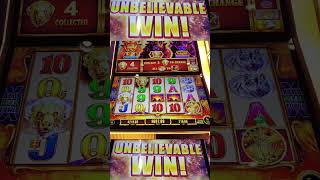 🚨🚨 INSANE WIN on Buffalo Gold Cash Collection! @DelawareParkCasino #slots #casino #bigwin
