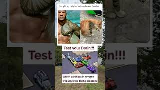 Can You Solve This Traffic Puzzle or Is Your Brain on Airplane Mode ✈️