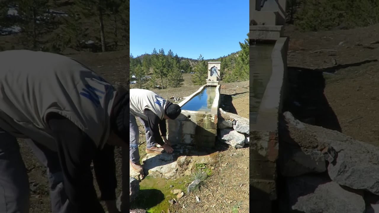 İyilik yolundaki işin sonu iyi oldu .