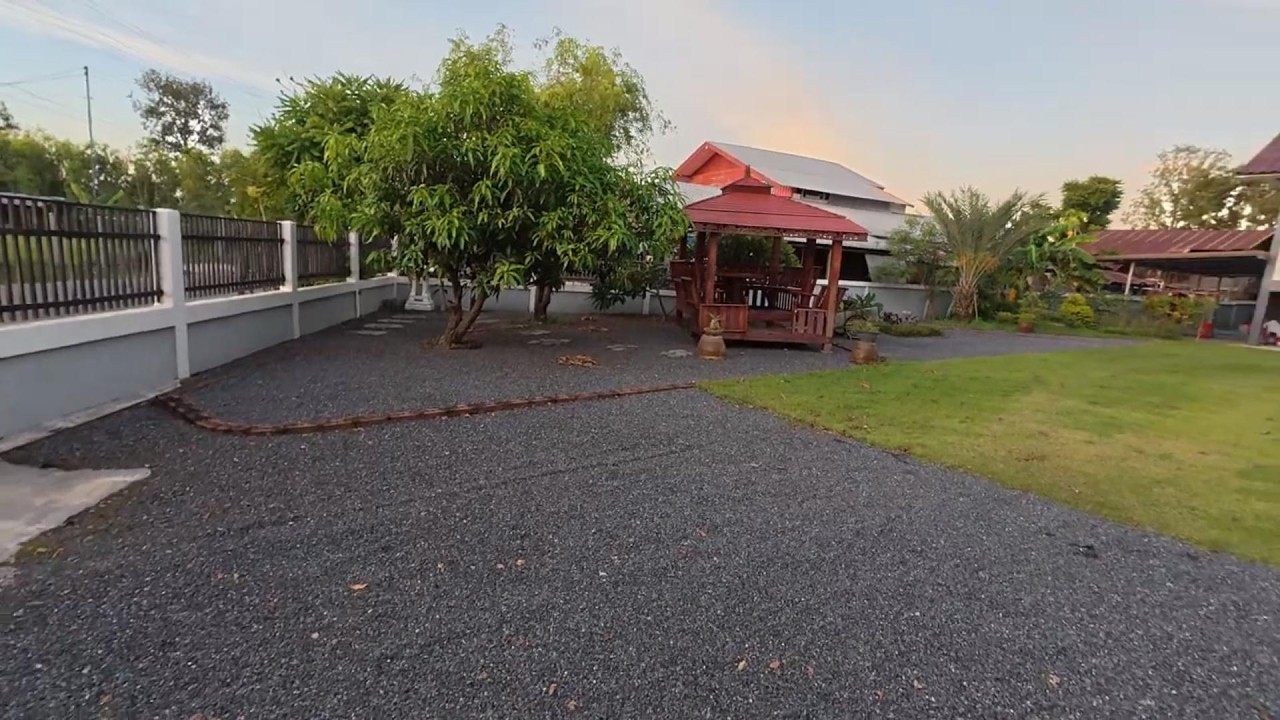 Time travel in our Isaan garden. การเดินทางข้ามเวลาในสวนอีสานของเรา