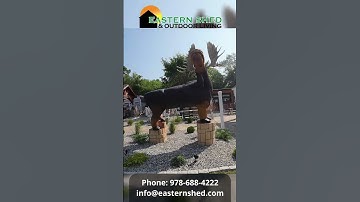 FPV Drone Tour of Eastern Shed & Outdoor Living location in North Andover