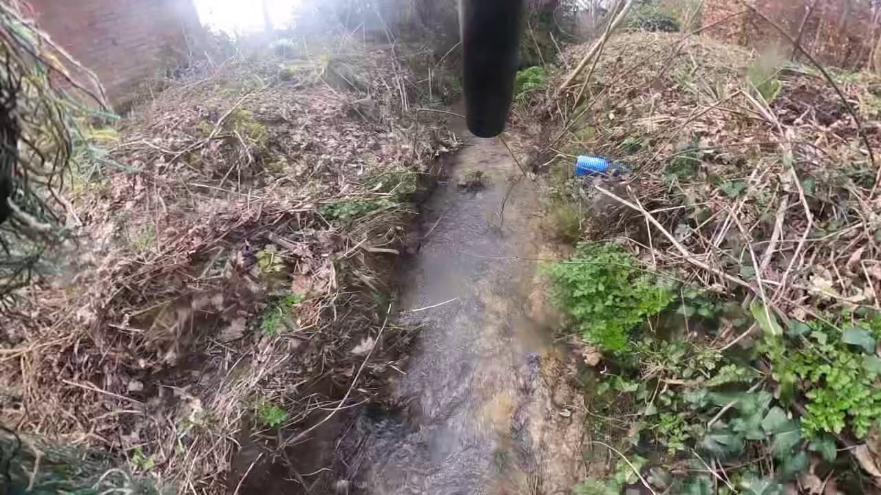 Epic Times at Siggle wriggle