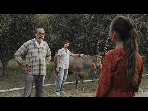 Sevmekten (Because of Love) / Kısa Film (Short Film)