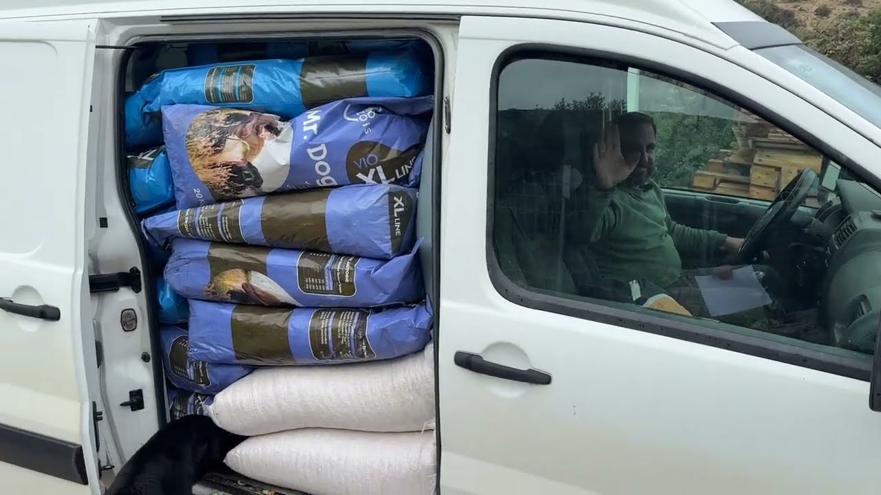 Ваша поддержка помогает приюту продолжать работу — День доставки еды — Приют Такис