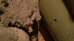 Dryer Vent Cleaning Houston Tx