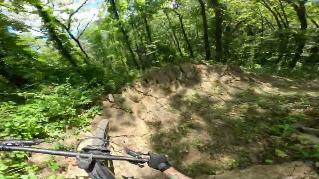 Upper Hixon Forest, La Crosse, WI. Vader MTB trail