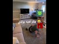 لما يكون فعل هكر بلعبه بولدي