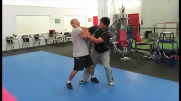 Fighting Arts - Yin Style Bagua Chopping and Extending attacks