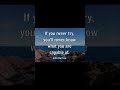 If You Never Try….