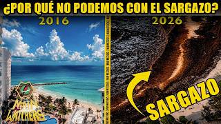 Por qué México NO le PUEDE GANAR al Sargazo?