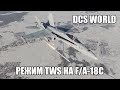 DCS World | F/A-18C | Полный гайд по режиму TWS