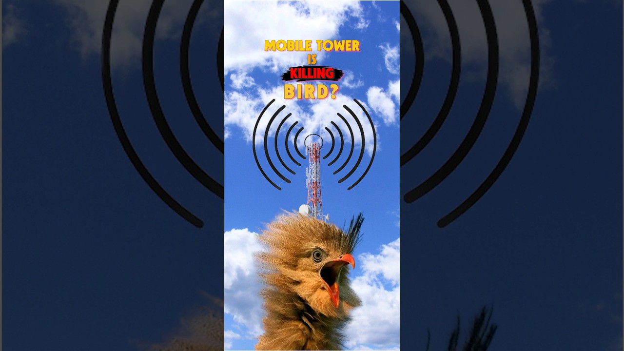 Mobile Tower 🗼 is Killing BIRD 🐦 ? | #shorts
