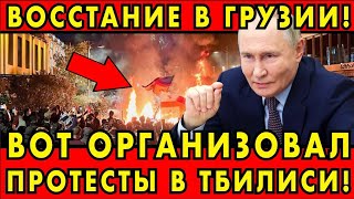 ВОТ КТО ОРГАНИЗОВАЛ ПРОТЕСТЫ В ГРУЗИИ! Шокирующая правда, которую скрывали от народа!