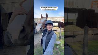 Hacking my horse completely tackless 😅 #horse #equestrianjourney #tackless #horsegirl #abcd #fyp