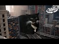 360° GIANT Maxwell Cat in center of New-York SOS... | VR Video 4K