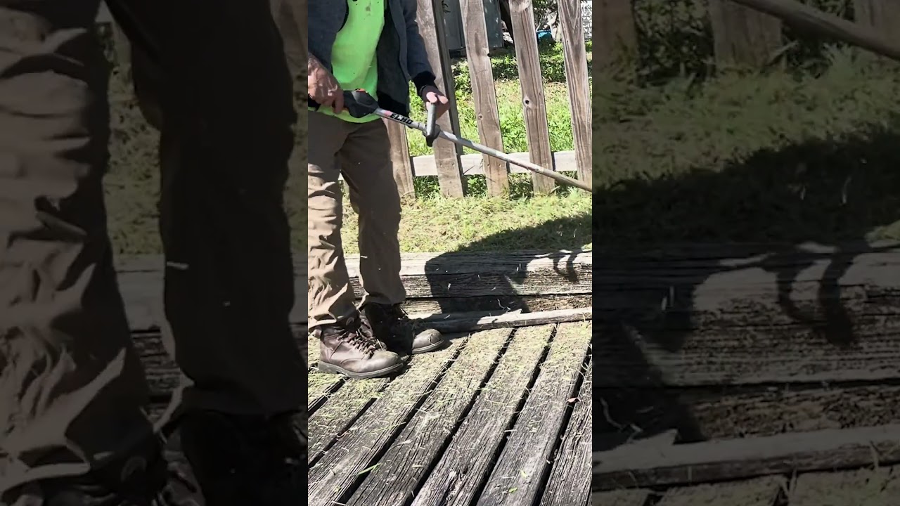 Overgrown Dock Gets EXTREME MAKEOVER | Best Lawn Care Videos | 4x Speed 