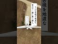 今いくよが、今くるよに最期に語った言葉 #お笑い #芸人 #いくよくるよ #大御所芸人 #感謝
