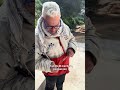 ¡BOOM!💥💥Inauguración de la planta de Jackie con PETARDO GIGANTE 😱🔥
