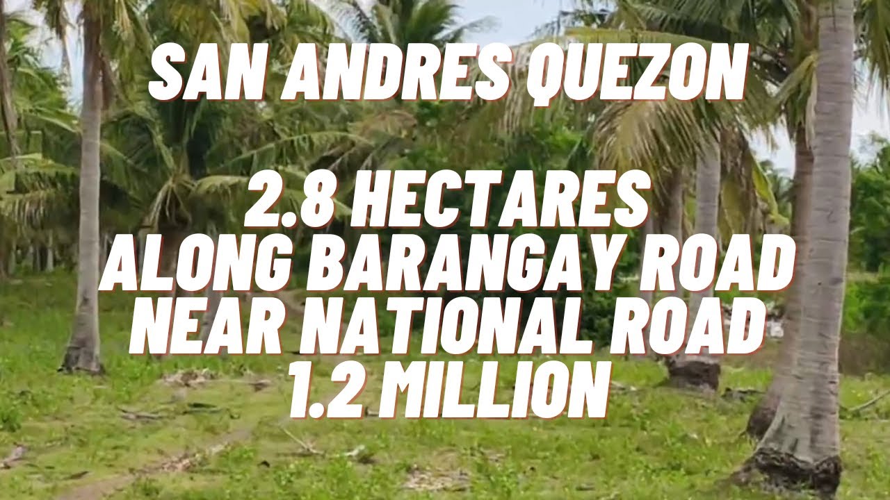 VLOG 107/ SAN ANDRES QUEZON/ 2.8 HECTARES / ALONG BARANGAY ROAD/ NEAR NATIONAL ROAD/ 1.2 MILLION!!