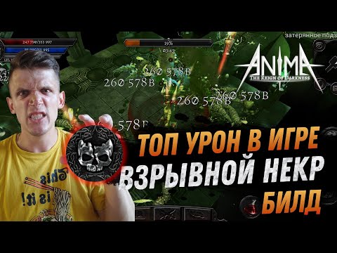 Видео: Билд НЕКРОМАНТ Anima ARPG. ТОП урон в игре! Ваншоты через уничтожение! Anima ARPG