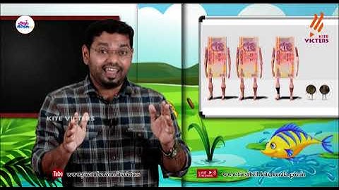 First Bell 2.0 STD 02 Mathematics Class 16