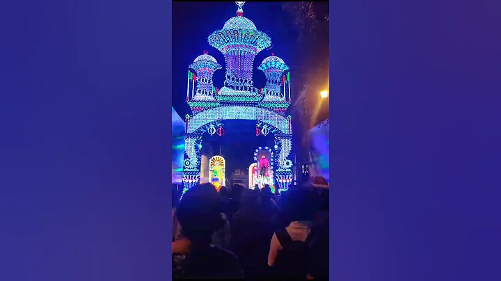 Video 11830951: bengal beauty, best bengal