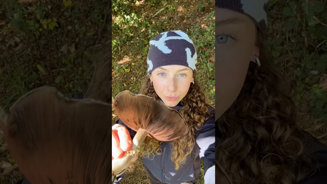 some recent finds 🍄 