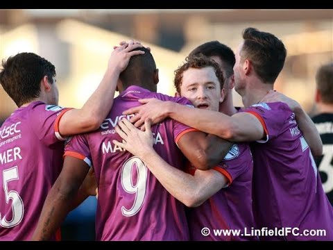 Dungannon Linfield Goals And Highlights