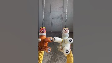 Dog Vs cat #bottles #shorts