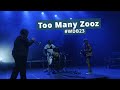 Too many zooz  live at woodstock der blasmusik 2023