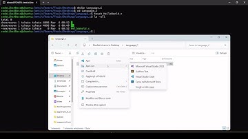 🚀 Découvrez mon tout premier programme en C ! 🚀