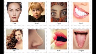40 Body Parts Flashcards - Learn Body Parts with Cards 40 Body Parts Flashcards - Learn Body Parts with Cards