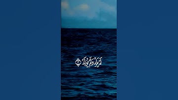 القارئ رعد الكردي#قرآن #المصحف #إستمع #اكسبلور #اسمعنا