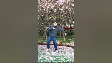 郭云深掩肘崩拳 #马保国 #接化发 #武术 #高手 #中国功夫 #功夫 #生活 #健身 #kungfu #funny