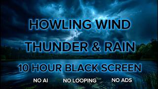NO ADS || 10 HOUR Howling Wind &amp; Thunderstorm || Black Screen White Noise