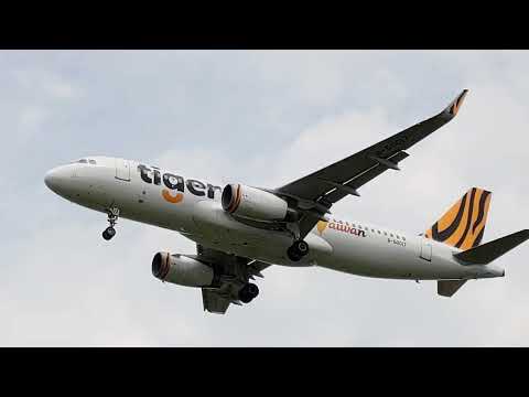 IT655，台灣虎航，A320-232(SL)，從濟州島降落桃園機場，在桃園機場23R跑道 馬路旁人行道拍照點，2023年8月5日10:59