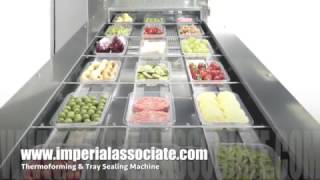 Fully Automatic Blister Tray Thermoforming & Tray Sealing Packaging System with MAP System