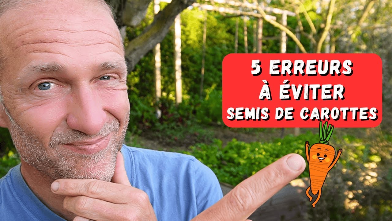 Bien semer ses carottes - Potager saison 2025