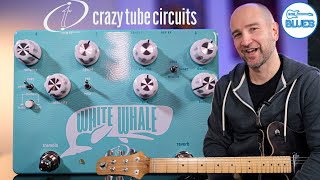 Crazy Tube Circuits White Whale V2 Review! Best of 2024!