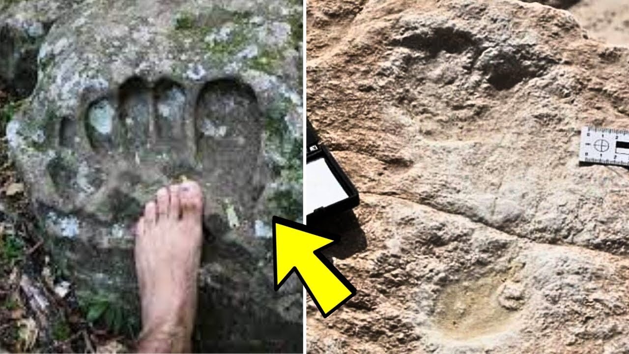 Археологи обнаружили гигантские человеческие следы возрастом 115 000 лет, которые могут переписат...